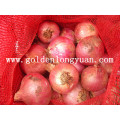 Chinese New Crop Fresh Red Onion